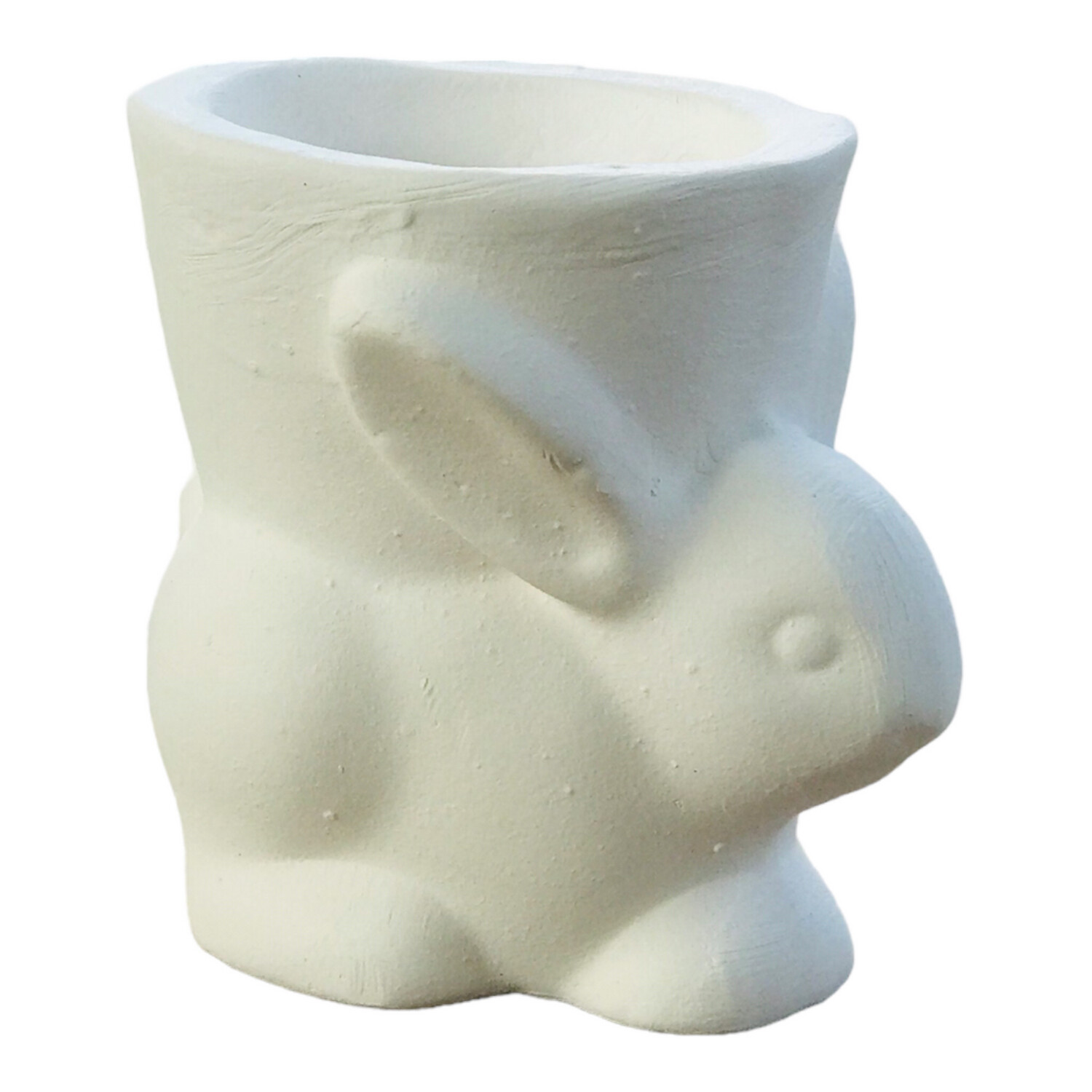 Bunny Hold