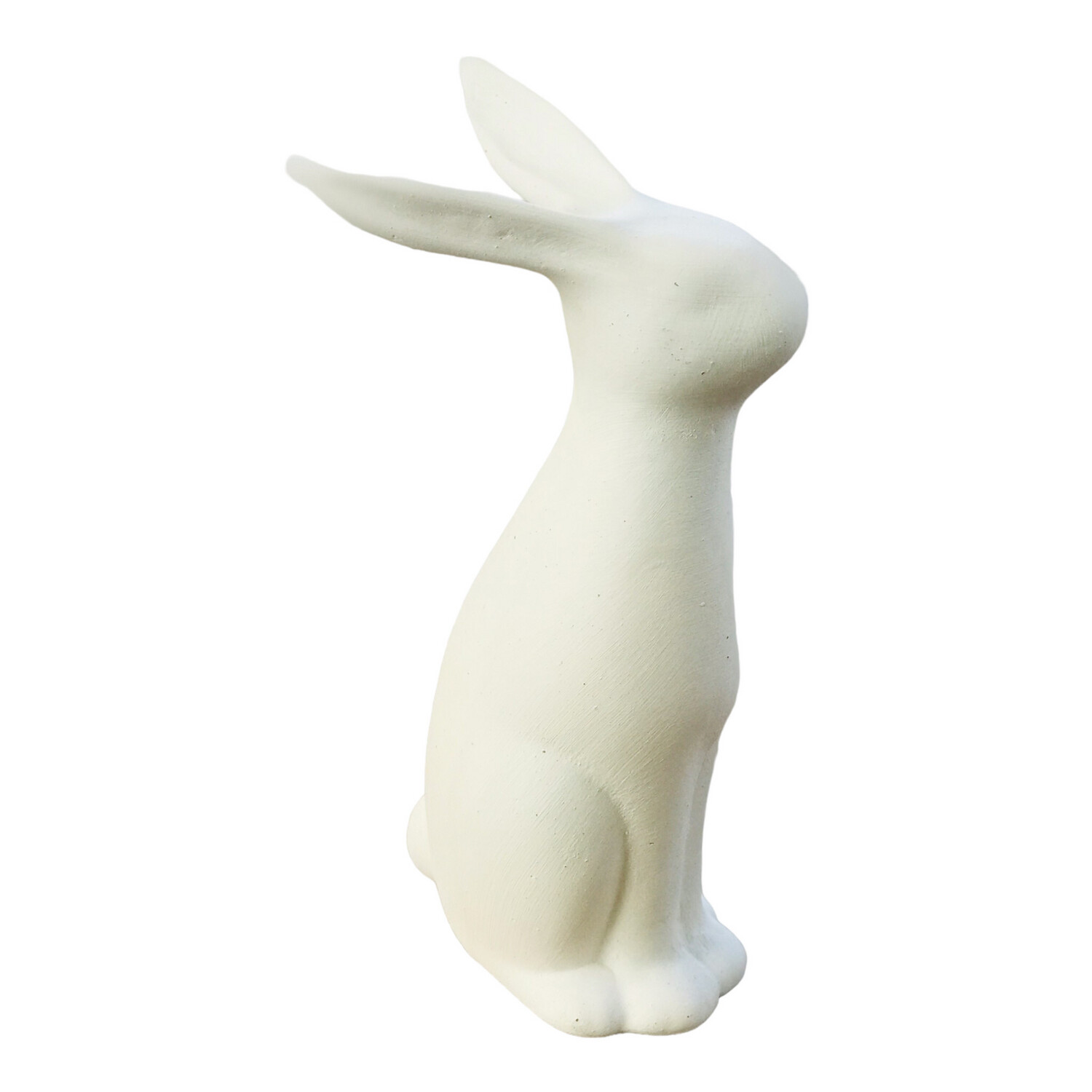 Bunny Tall