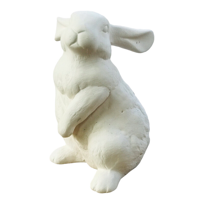 Bunny Hare