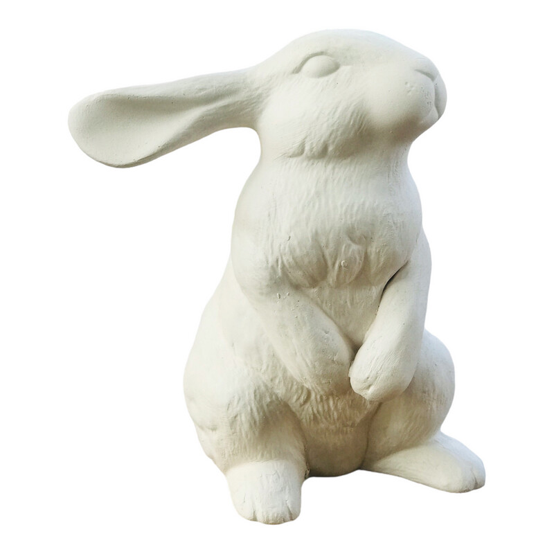 Bunny Hare