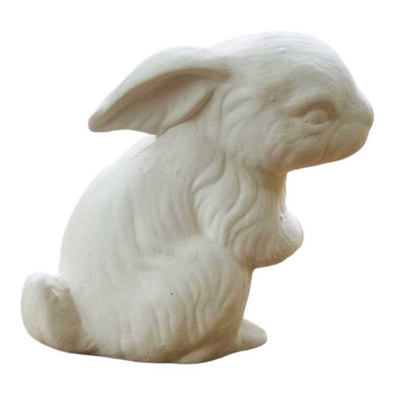 Bunny Standing