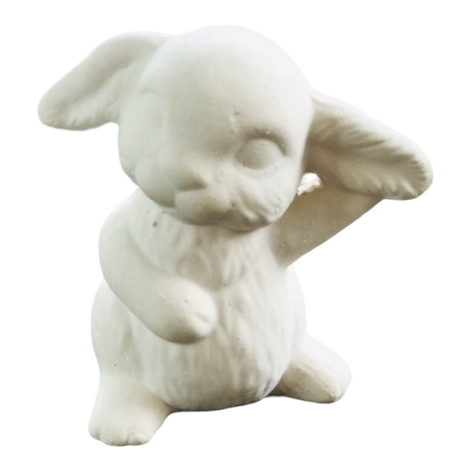 Bunny Popples