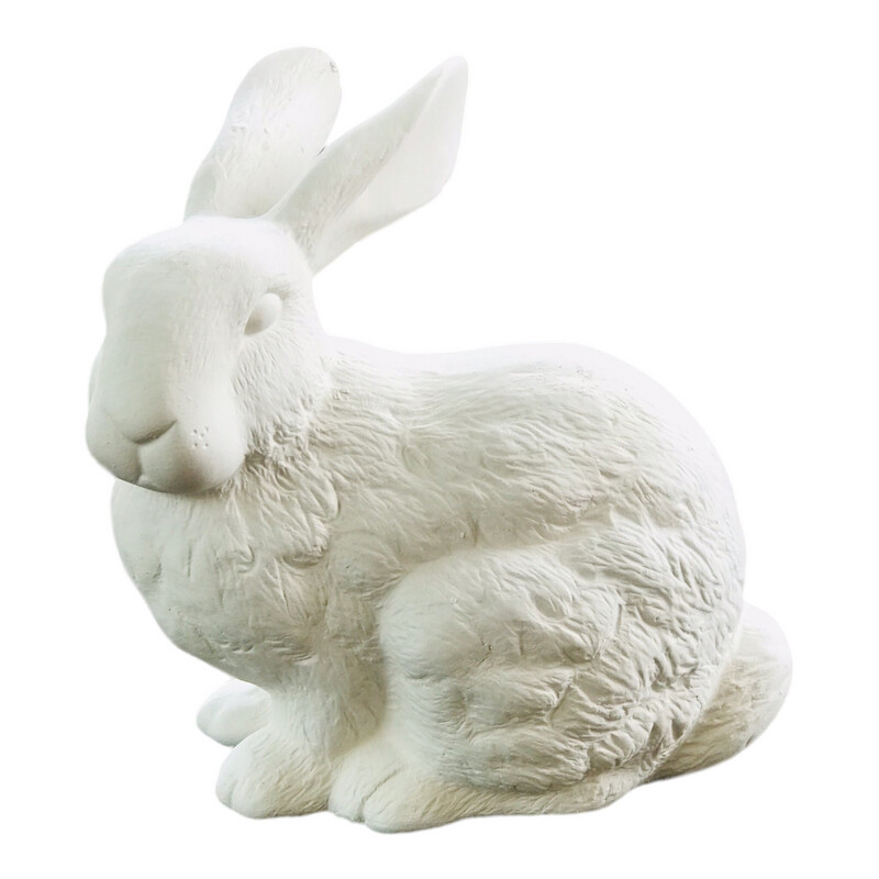 Bunny Hare