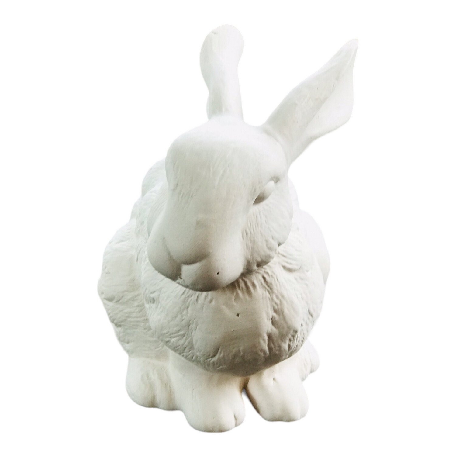 Bunny Hare