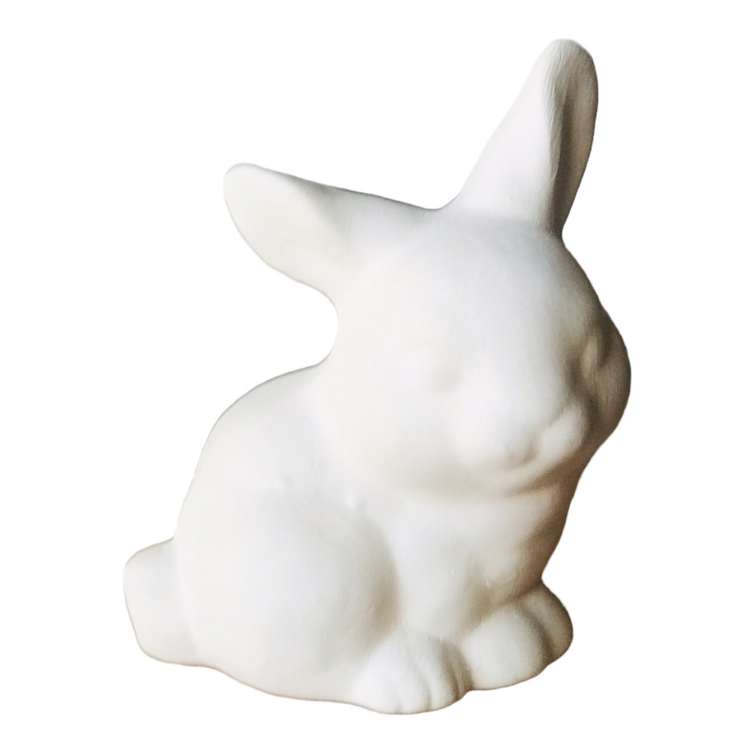 Bunny Buster