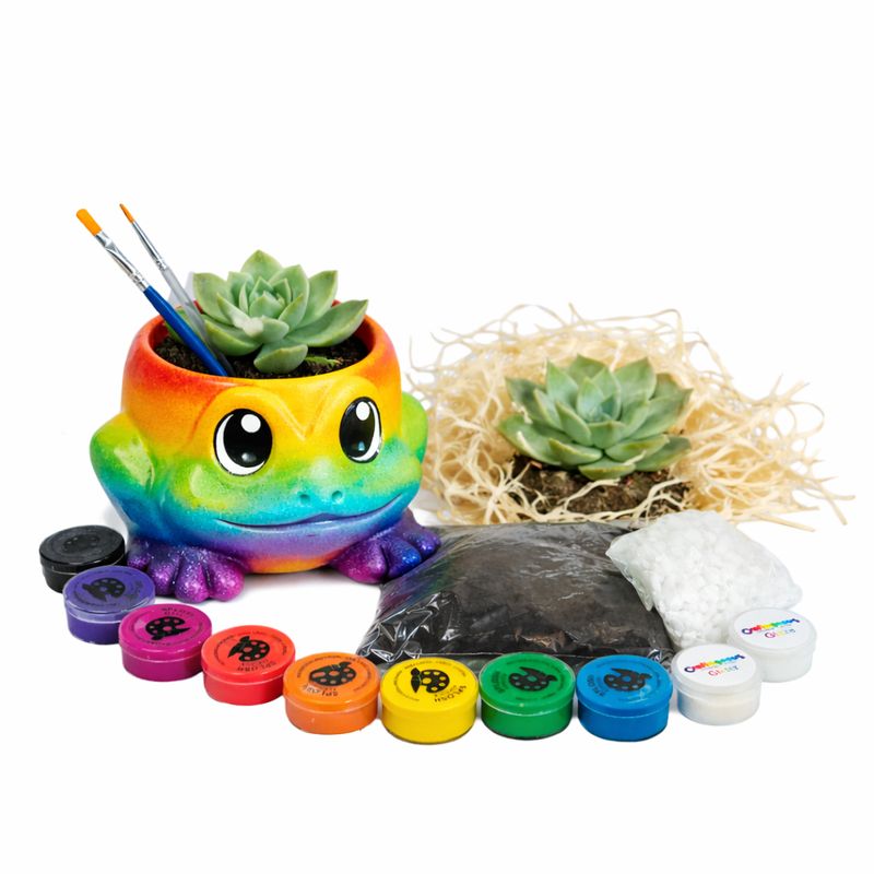 Ceramic Frog Planter Craftikit