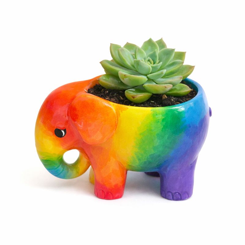 Ceramic Elephant Planter Craftikit