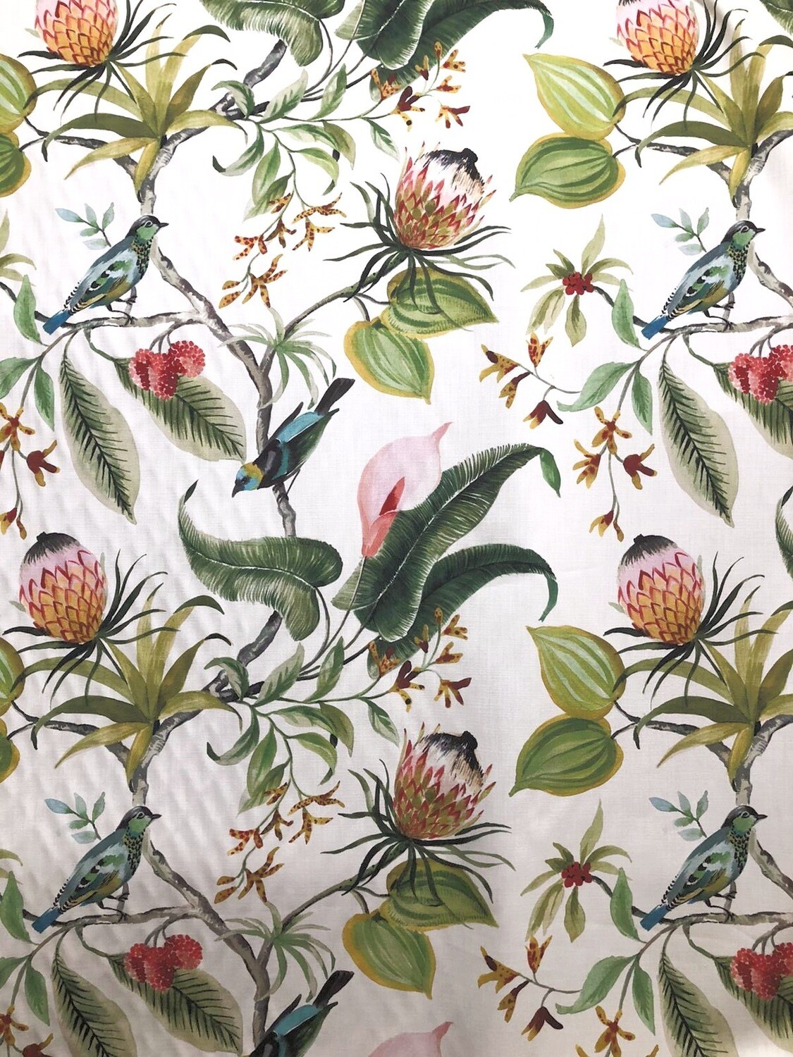 Birds in Paradise Fabric By the Yard