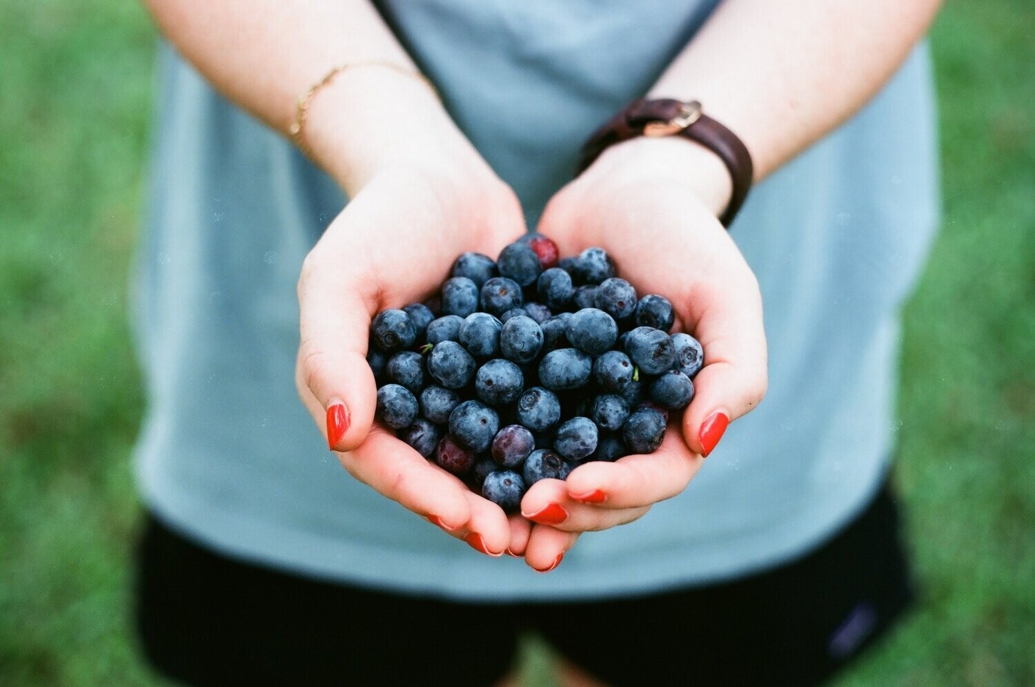 Blueberry Bramble