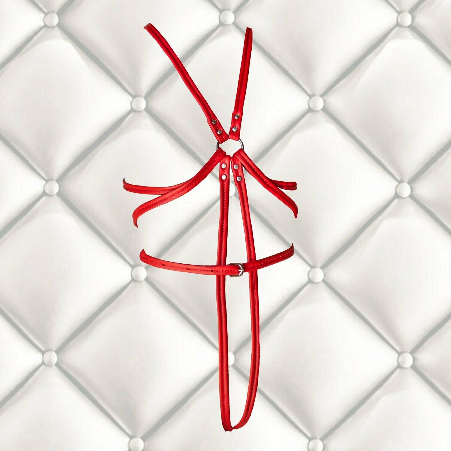 Leather Bondage Harness