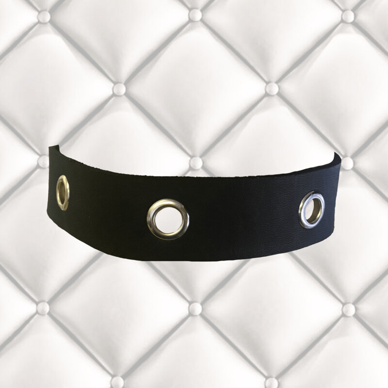 Leather Collar with Holes