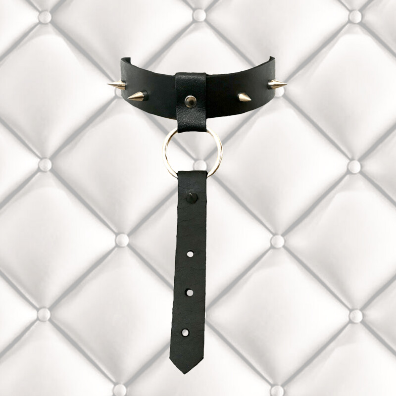 Leather Spiked Collar