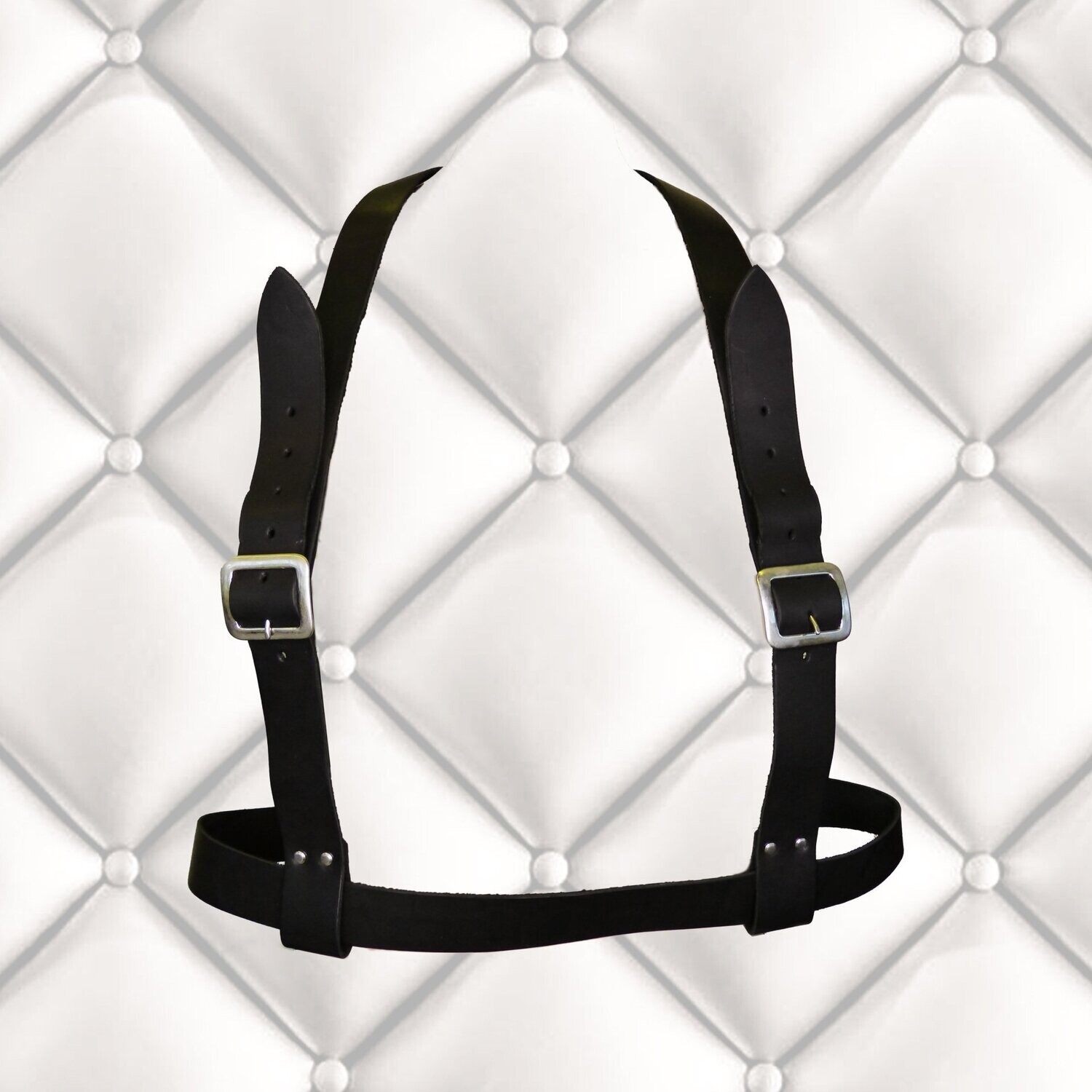 Ebony Leather Chest Harness Master