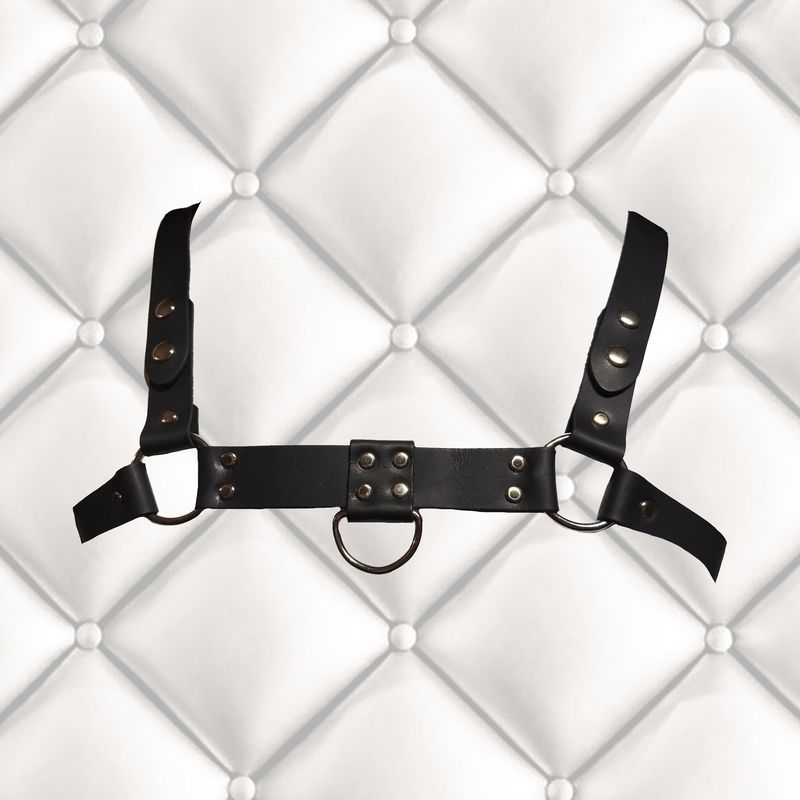 Leather Chest Harness Master