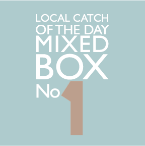 Local Catch of the Day, Mixed Seafood Box 1 Local Catch of the Day, Mixed Seafood Box 1