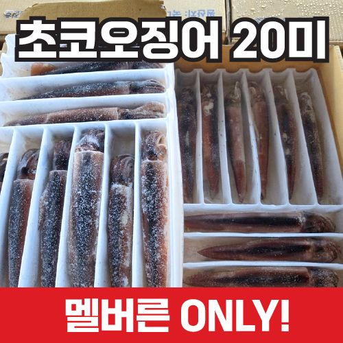 [멜번 ONLY] 한국 수협 초코오징어(20미) 3.3kg