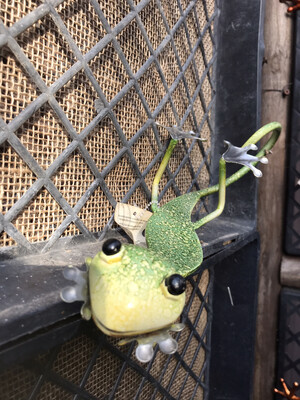 Regal Gecko Decor - Green