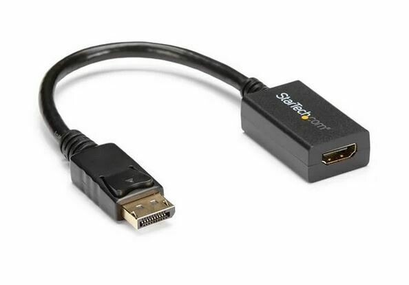 Adaptateur / Convertisseur vidéo DisplayPort vers HDMI - M/F - 1920x1200 / 1080p