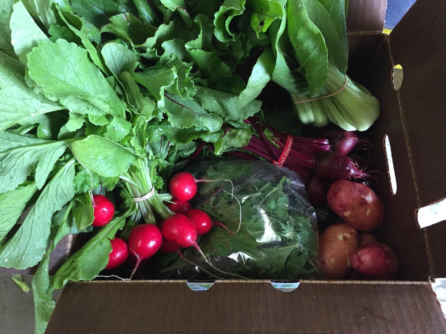 Pre-Packed Box