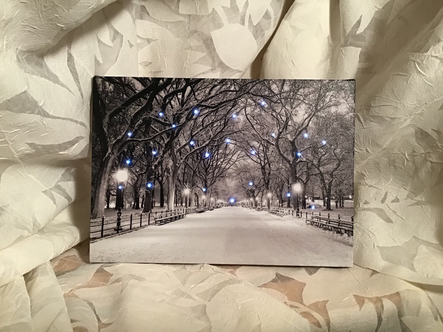 Black and White Lighted Canvas