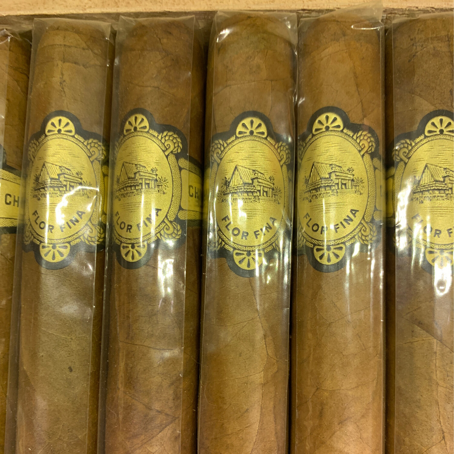 Chinchalle Warped Robusto/ Closeout