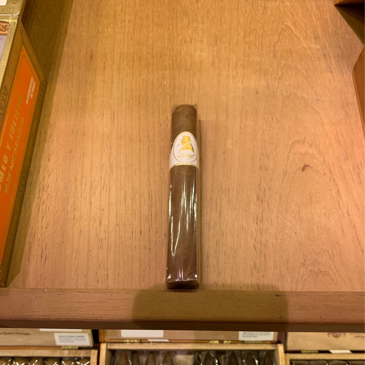 Dav WSC Robusto