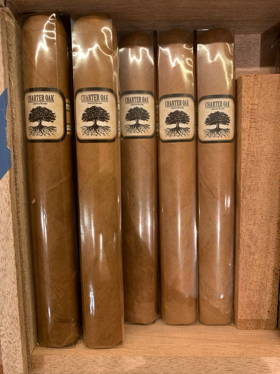 Foundation Charter Oak Connecticut Toro 6x52