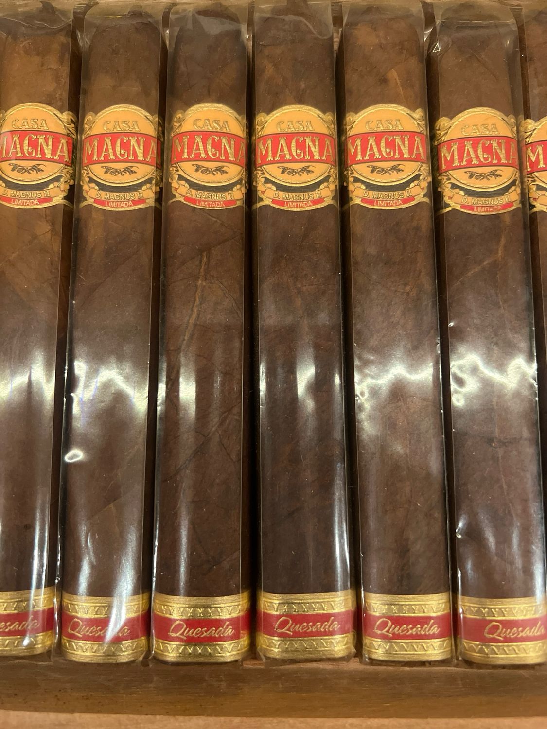 Casa Magna Magnus II Primus