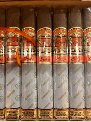 E P Carillo Endure Toro