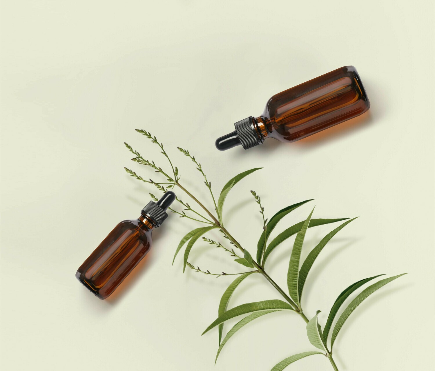 Mind Body Gut Care Package 1 Essential Oils