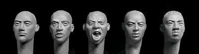 HORHH44 5 heads with Central Asian features , cropped hair