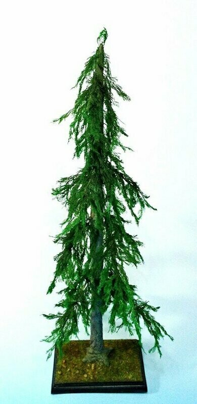 UM318 Pine tree large  1/35 30 cm