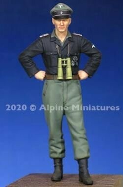 AM35272  WSS Panzer Officer