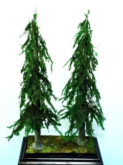 UM319 PINE TREES MEDIUM 2 PIECES 1/48 23 CM