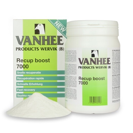 Recup Boost 7000