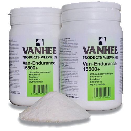 Van-Endurance 15500+