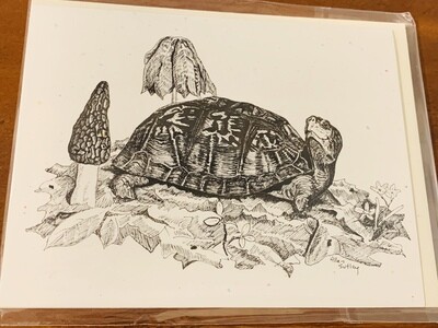 Allan Sutley Note Card Pack of 6