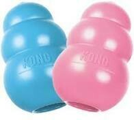 Kong Puppy