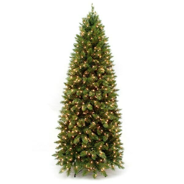 12347 6.5&#39; VIENNA PENCIL TREE