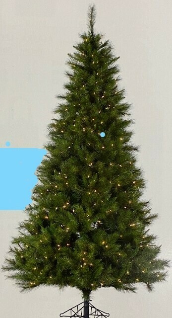 40407 7.5 DUBLIN TREE
