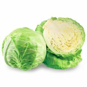 Cabbage, white x 1