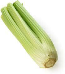 Celery