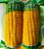 Pre Pack Cooked Sweetcorn Corn on the Cob x 2