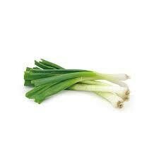Spring Onions x 1 bunch