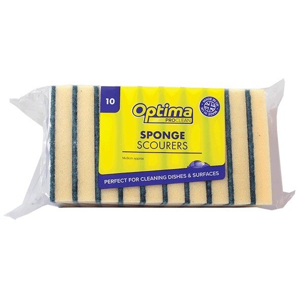 Sponge Scourers X 10