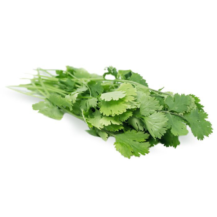 Coriander Bunches 20