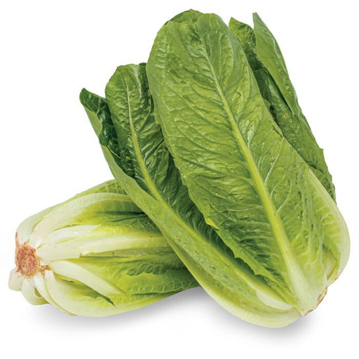 Cos Romaine Lettuce 10-12 Heads