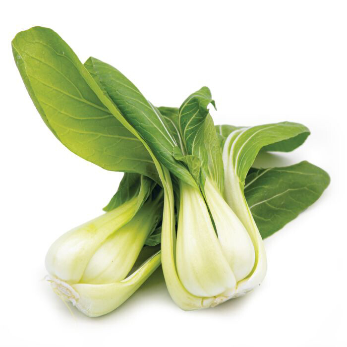 Pak Choi 2