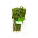 Fresh Mint 100g