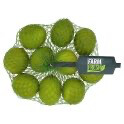 Limes 10